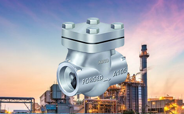 FORGED  CHECK  VALVE