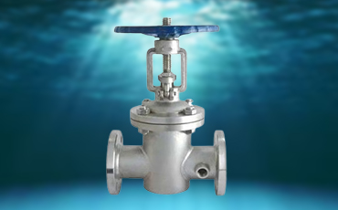 STEAM  JACKETED  VALVES