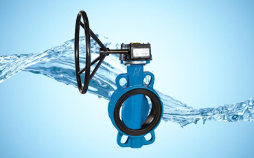LUG TYPE BUTTERFLY VALVE