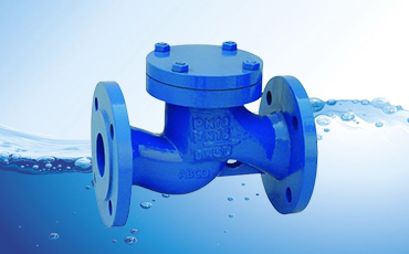 LIFT TYPE CHECK VALVE